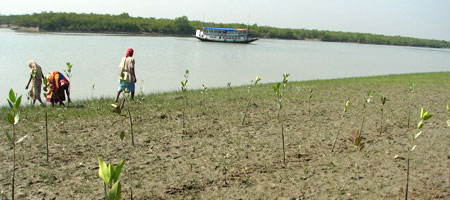 sundarban tour map