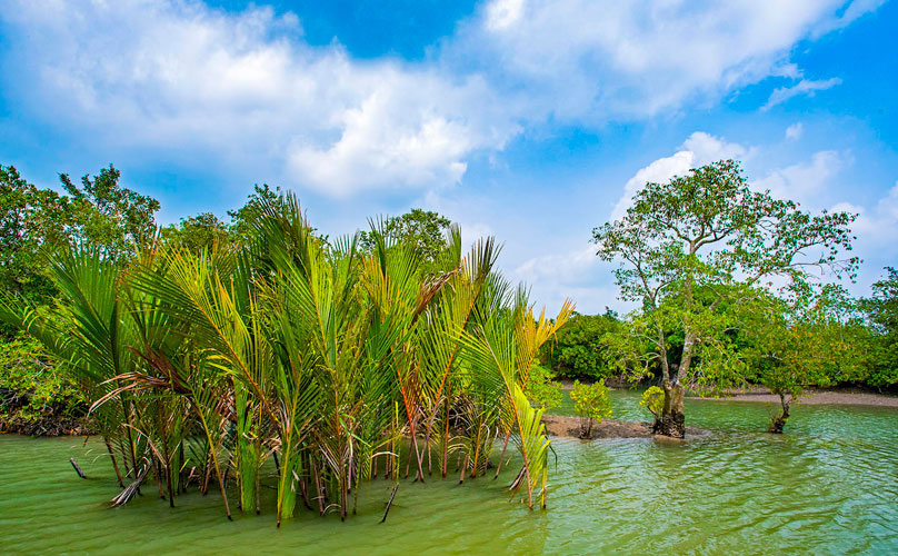 sundarban tour map